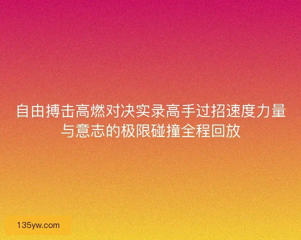 自由搏击高燃对决实录高手过招速度力量与意志的极限碰撞全程回放 自由搏击高燃对决实录高手过招速度力量与意志的极限碰撞全程回放